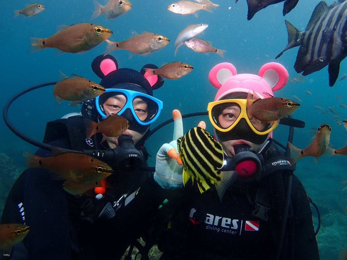 [Advance Reservation Required] Seogwipo Scuba Diving Experience in Jeju Island | South Korea - Photo 1 of 6